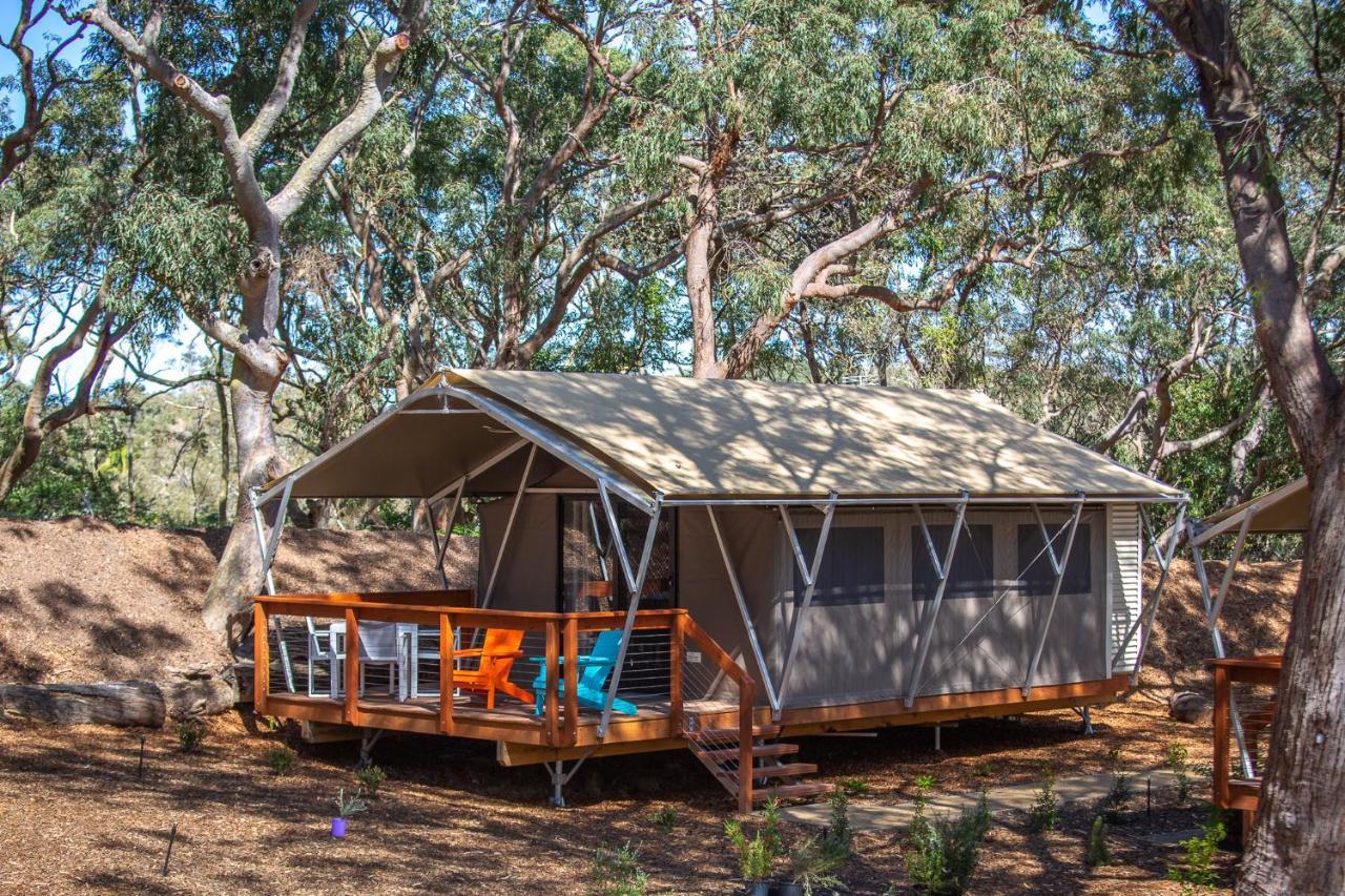 Port Stephens Koala Sanctuary Hotell One Mile Exteriör bild
