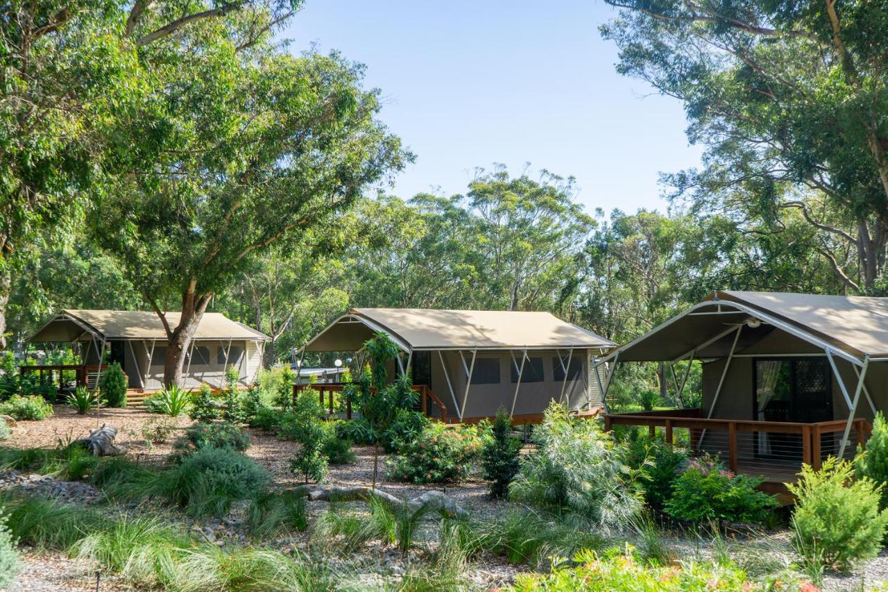 Port Stephens Koala Sanctuary Hotell One Mile Exteriör bild
