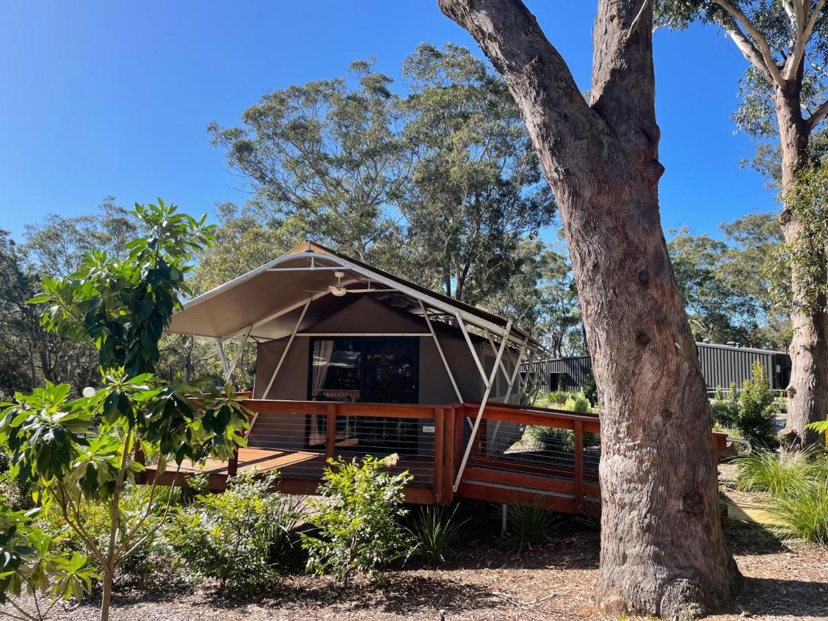 Port Stephens Koala Sanctuary Hotell One Mile Exteriör bild