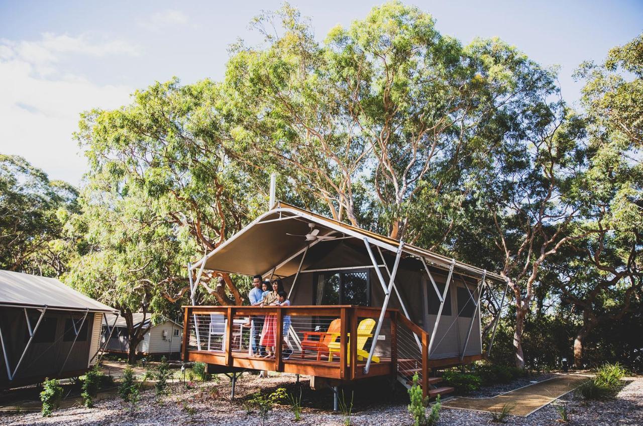 Port Stephens Koala Sanctuary Hotell One Mile Exteriör bild